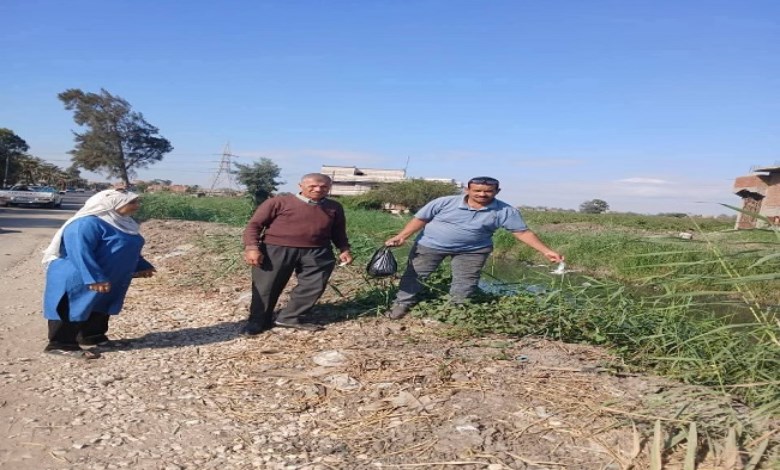 الزراعة 
