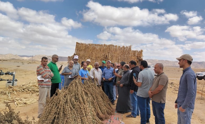 فرق مركز بحوث الصحراء 