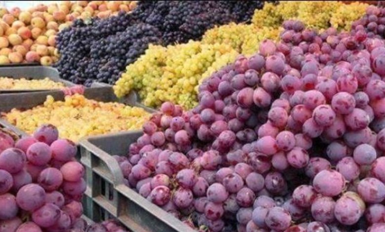 صادرات العنب 