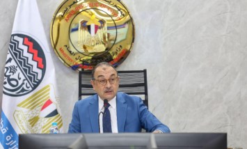 وزير قطاع الأعمال 