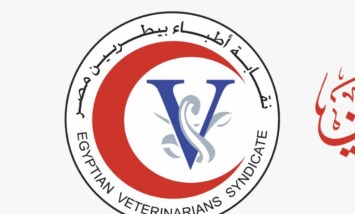 نقابة البيطرين
