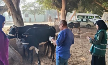القوافل البيطرية