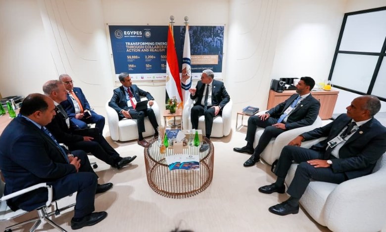  وزير البترول والثروة المعدنية