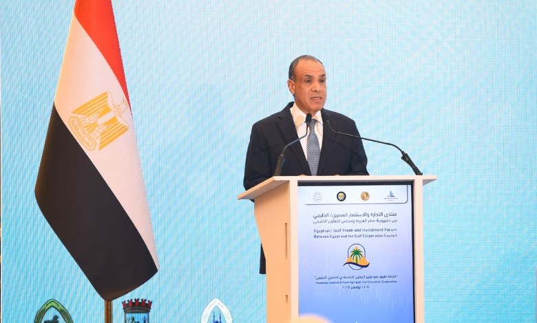 وزير الخارجية والهجرة وشئون المصريين بالخارج