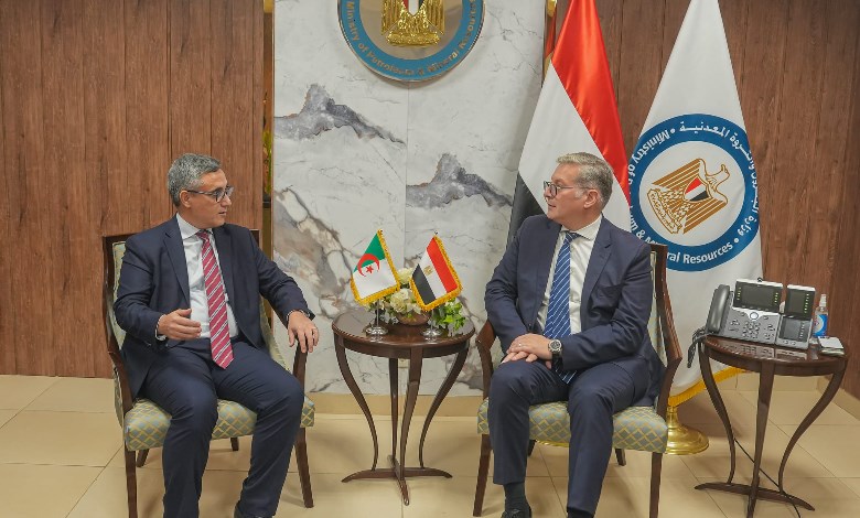 وزير البترول والثروة المعدنية