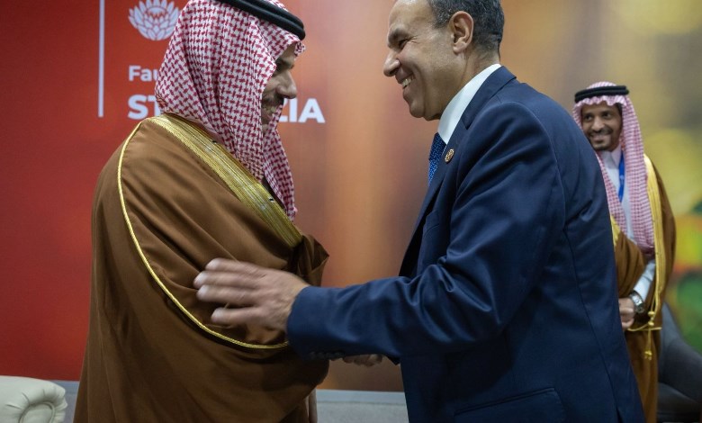 وزير الخارجية والهجرة وشئون المصريين بالخارج