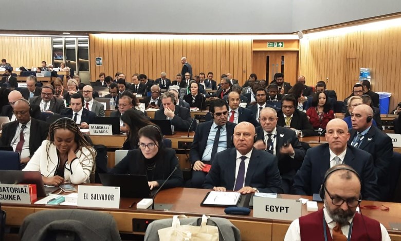  نائب رئيس مجلس الوزراء للتنمية الصناعية وزير الصناعة