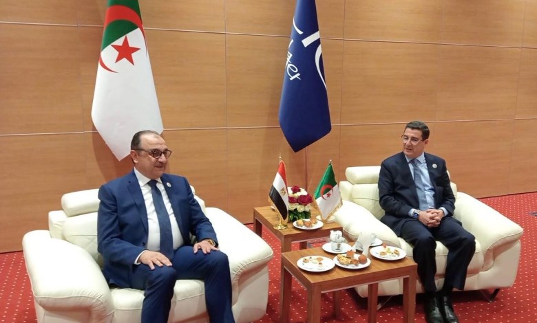 وزير قطاع الأعمال العام