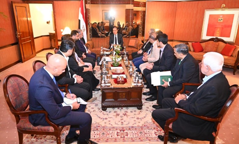 وزير الخارجية والهجرة وشئون المصريين بالخارج