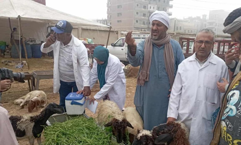 تحصين الماشية