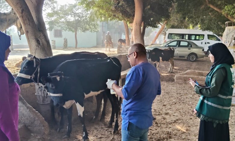 القوافل البيطرية