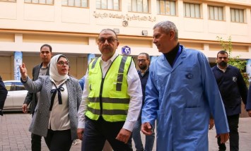 وزير قطاع الأعمال 