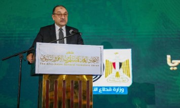 وزير قطاع الأعمال 