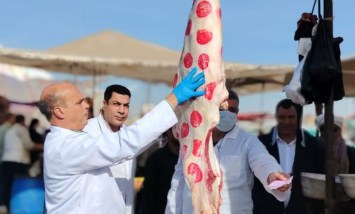 الخدمات البيطرية