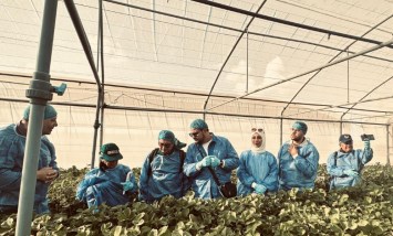 الوفد الفنى من دولة فنيا