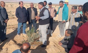 مركز بحوث الصحراء