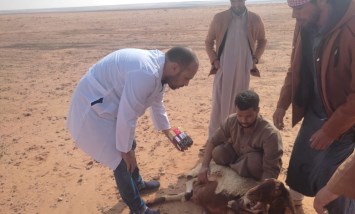  الأنشطة التنموية بمحافظة مطروح