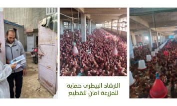 الخدمات البيطرية 