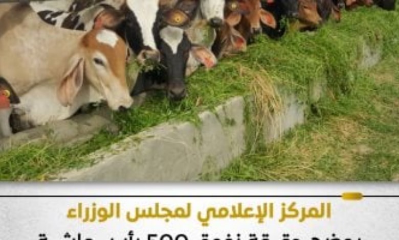 المركز الإعلامي لمجلس الوزراء