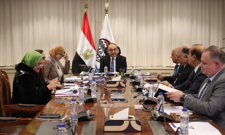 وزير قطاع الأعمال 
