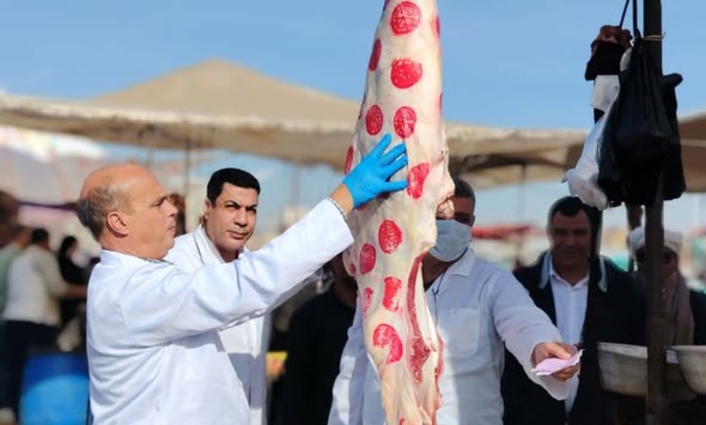 الخدمات البيطرية