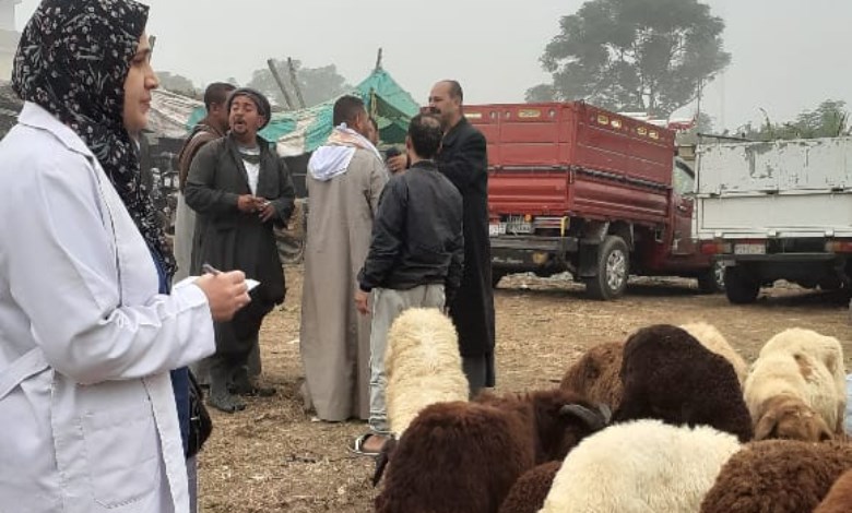 الخدمات البيطرية 