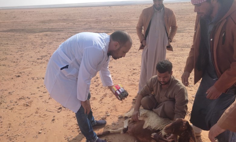 الأنشطة التنموية بمحافظة مطروح