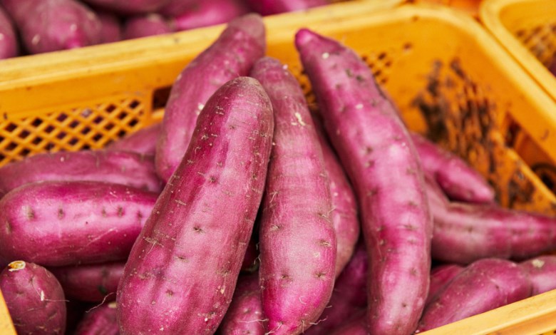البطاطا الحلوة 