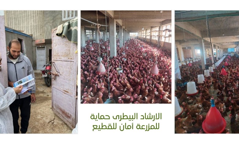 الخدمات البيطرية 