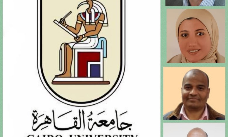 الفريق البحثى