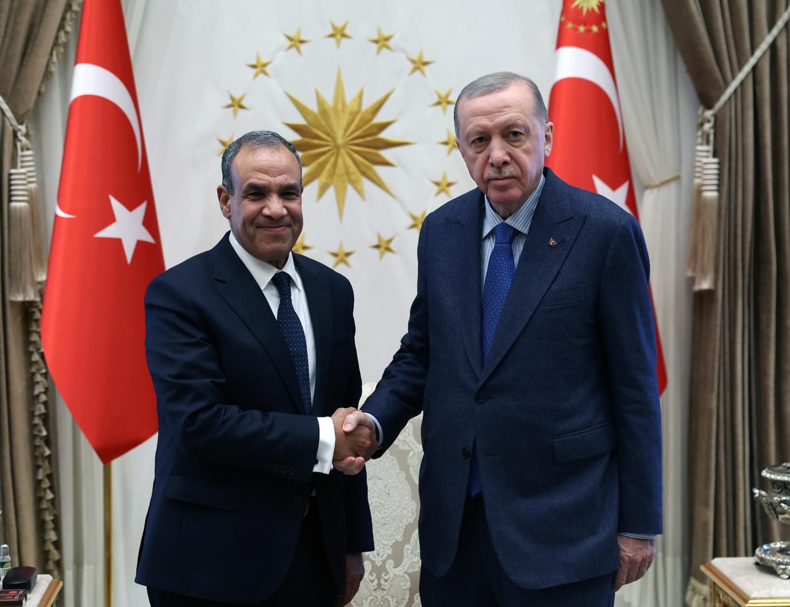 الخارجية والهجرة ينقل رسالة خطية من السيسي إلى أردوغان