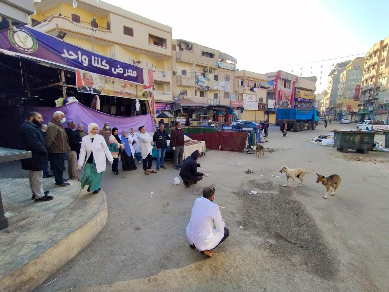 تحصين الكلاب الضالة