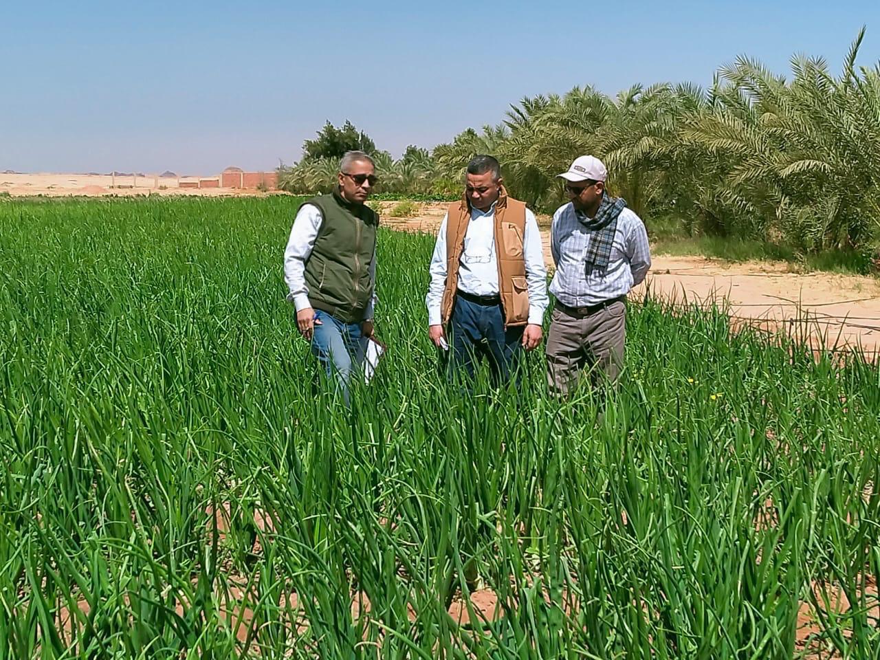 مركز بحوث الصحراء يتابع الأنشطة البحثية