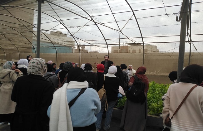 الزراعة