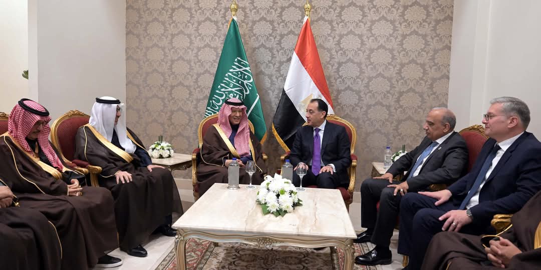 مدبولي يناقش تطورات مشروع الربط الكهربائي مع وزير الطاقة السعودي
