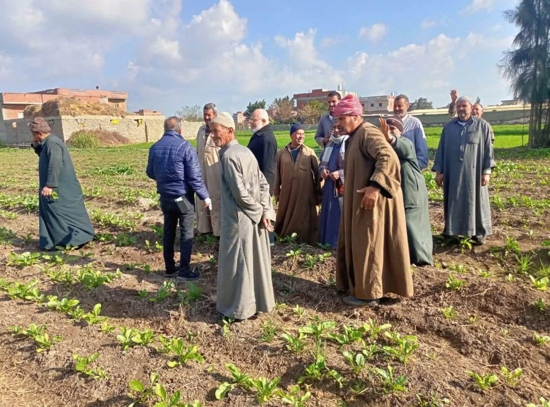 الزراعة