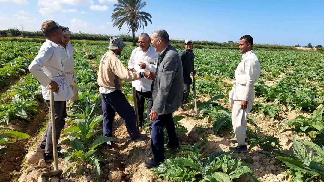 الإدارة المركزية للإرشاد الزراعي