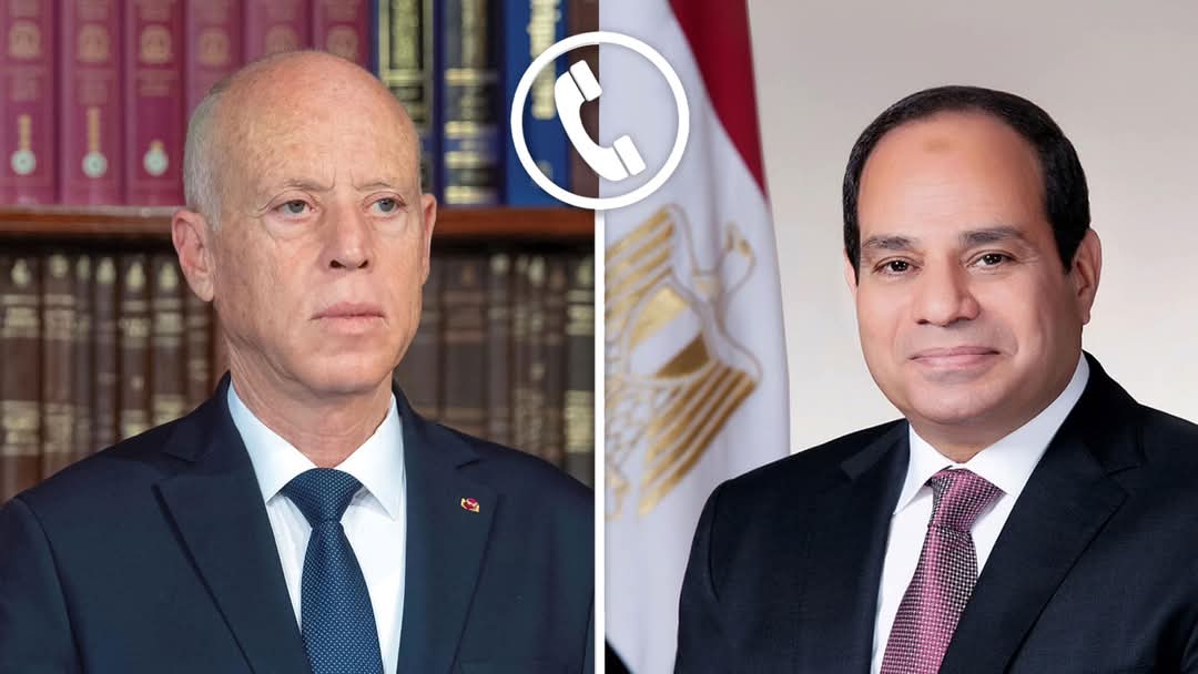 السيسي والرئيس التونسي