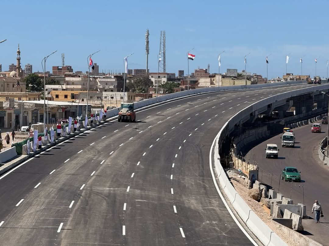 كوبرى العامرية