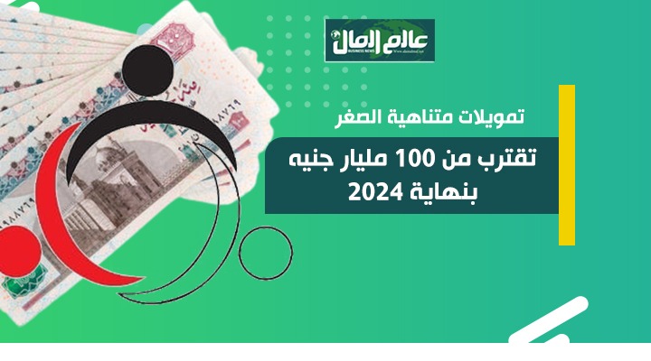 مشروعات متناهية الصغر