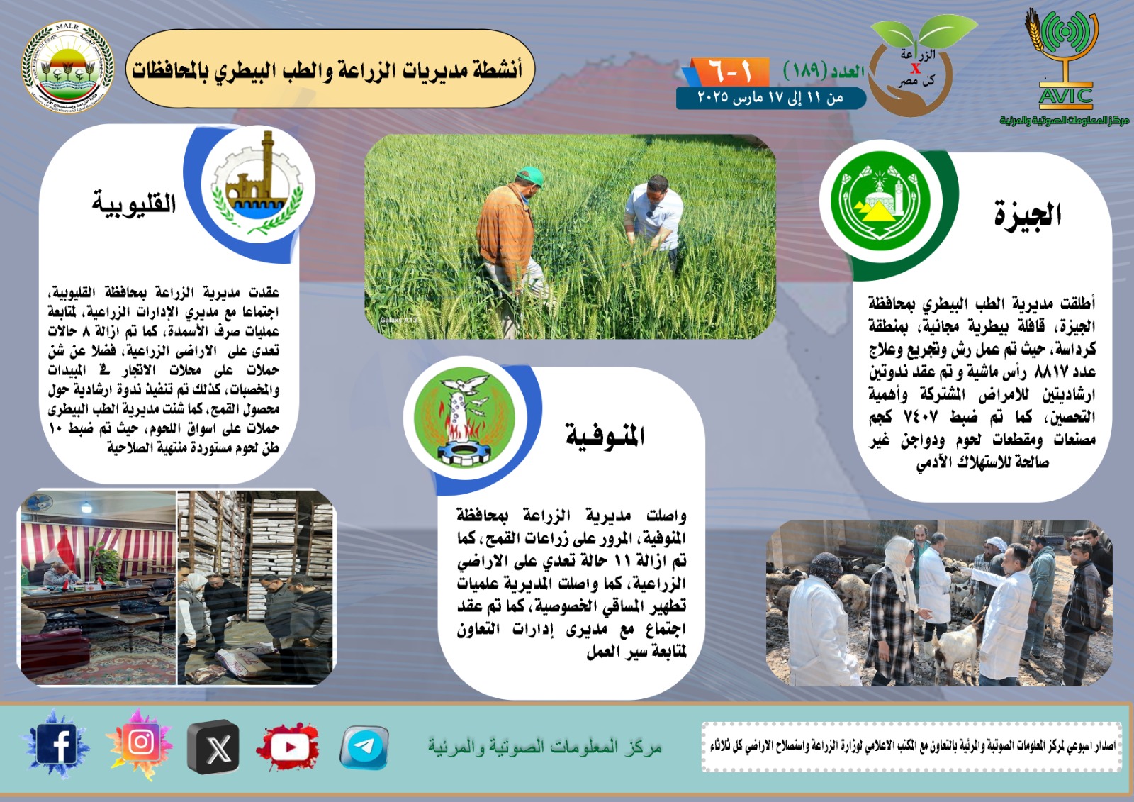 جهود مديريات الزراعة 