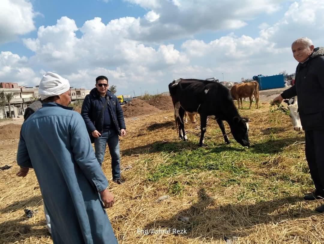 الثروة الحيوانية