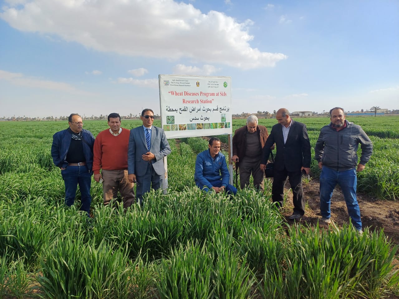 معهد بحوث أمراض النباتات