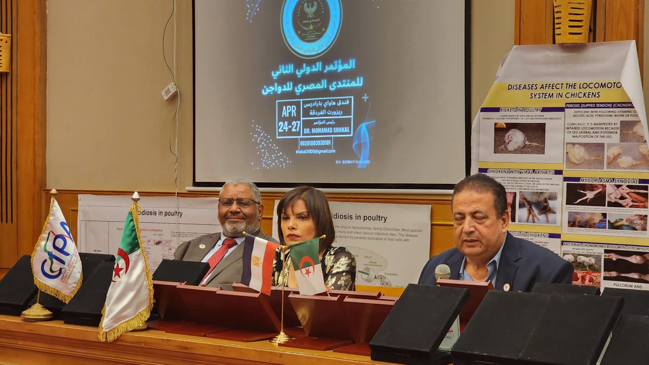 المؤتمر الإقليمى العربى للدواجن- صورة أرشيفية