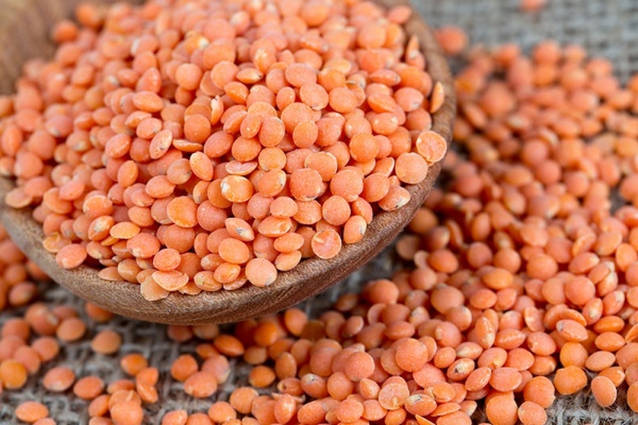 العدس- صورة تعبيرية