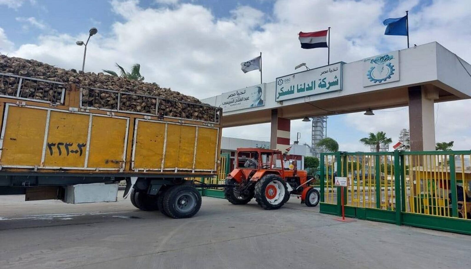 شركة دلتا للسكر
