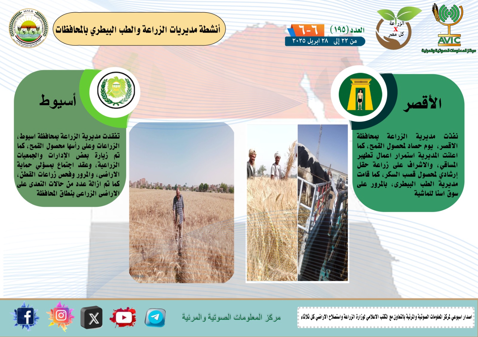 أنشطة مديريات الزراعة والطب البيطري 