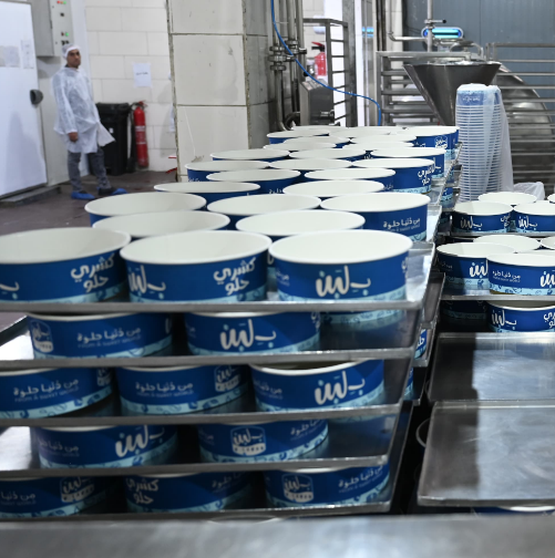 مصانع بلين