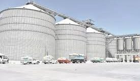 مطاحن شرق الدلتا