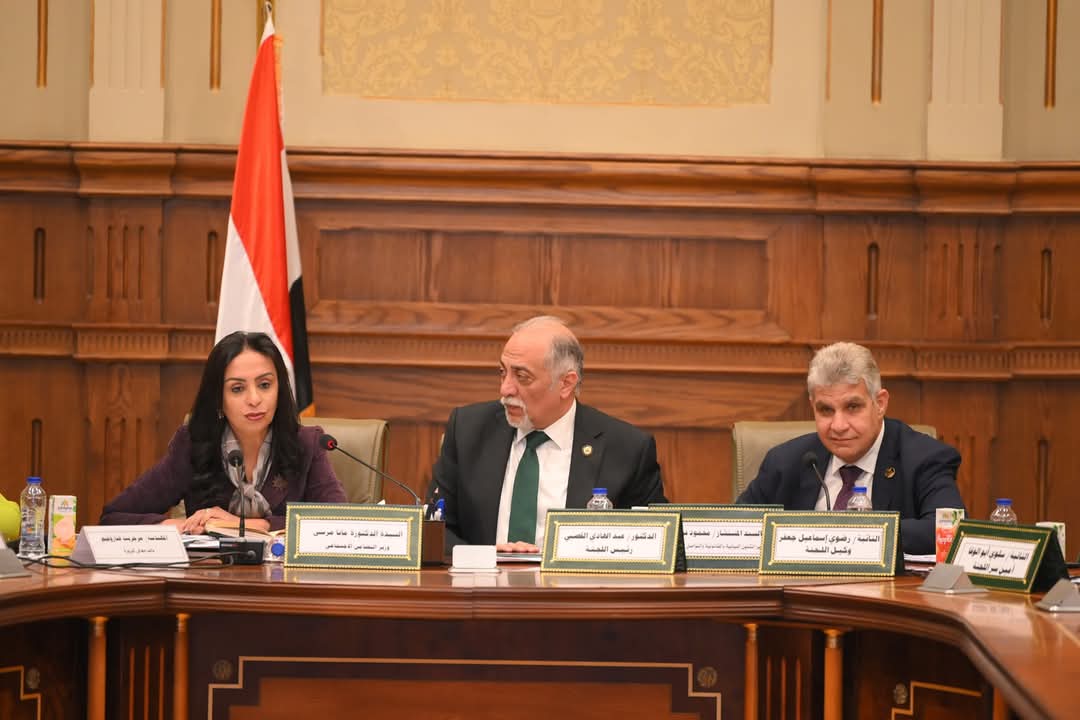 اجتماع وزيرة التضامن الاجتماعي مع لجنة تضامن النواب